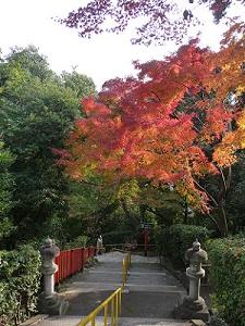 建勲神社の紅葉