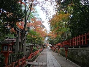 八坂神社の紅葉