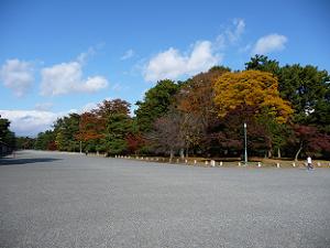 京都御苑内の紅葉