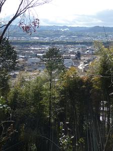 堂山見晴台からの眺め
