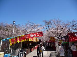 桜とお店