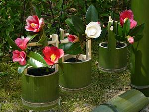 竹の桶にも椿の花