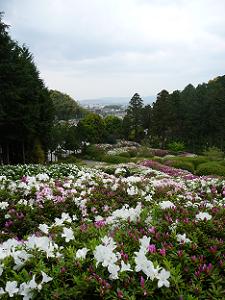 山から見下ろした庭園