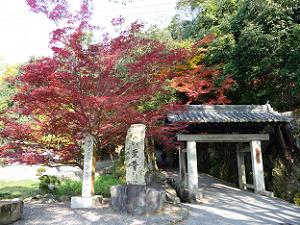 興聖寺の入口の紅葉