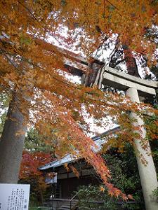 梨木神社の鳥居