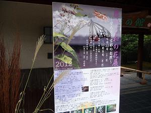藤袴と和の花展の案内板