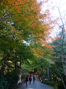 鳥居橋付近