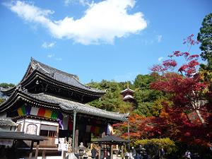 今熊野観音寺の境内