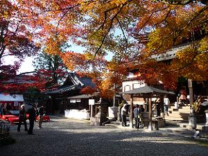 今熊野観音寺の境内