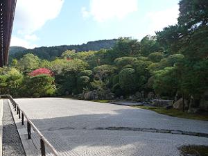 鶴亀の庭園