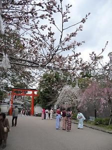 八坂神社の鳥居付近