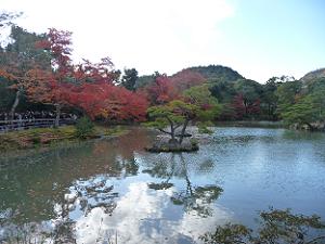 鏡湖池と紅葉