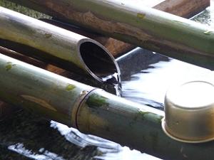 竹の先から取水