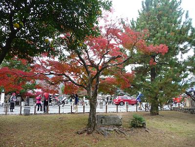 嵐山公園の紅葉
