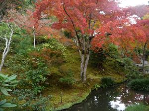小さな池と紅葉