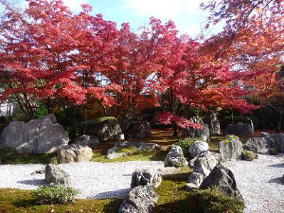 枯山水庭園の紅葉