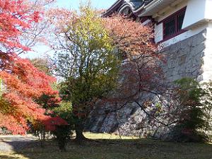 紅葉と石垣
