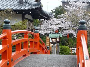法成橋と桜