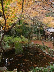 ひょうたん池と紅葉