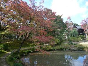 池のほとりの紅葉