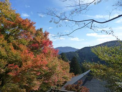 鞍馬山山頂から眺めた紅葉風景