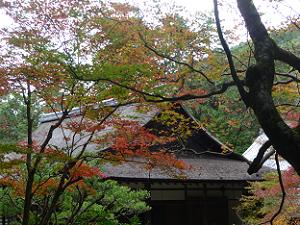 本堂の屋根と紅葉