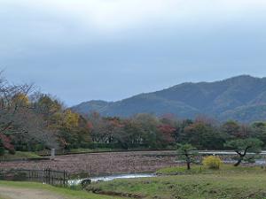 大沢池と嵐山