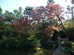 ひょうたん池のほとりの紅葉