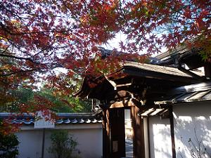 袴腰の大玄関と紅葉
