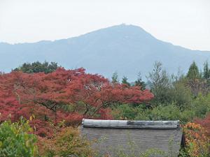 正伝寺から眺める比叡山