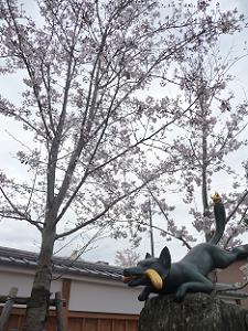第一鳥居の脇のキツネと桜