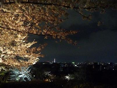 夜桜と京都タワー