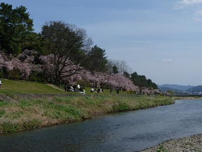 賀茂川と半木の道
