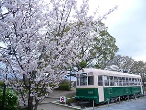 佐野桜と列車