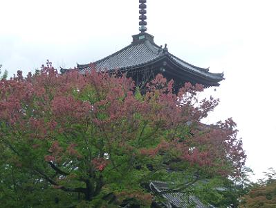 花の木と三重塔