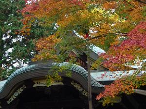 本殿の屋根と紅葉