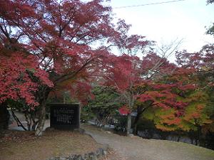 亀山公園の紅葉