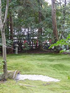 野宮神社のコケの庭