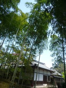 竹林と妙見堂
