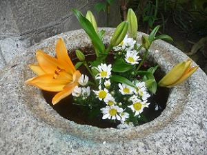 水盤の花