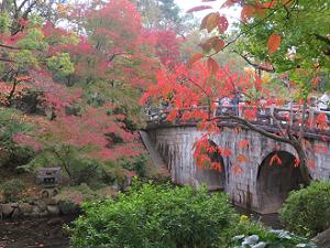 円通橋と紅葉