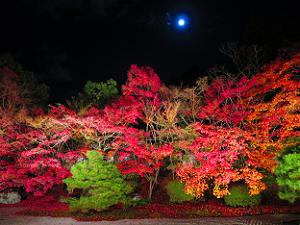 満月と紅葉