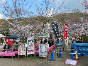 お店と桜