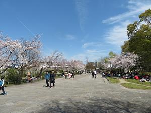 梅小路公園の西側