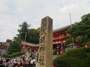 夏の八坂神社で咲く白祇園守 19年 京都観光旅行のあれこれ