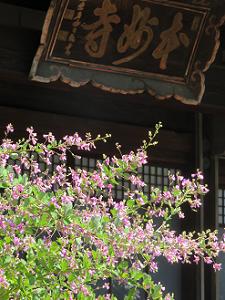 萩と本妙寺の扁額