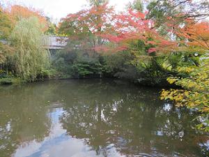 池周囲の紅葉