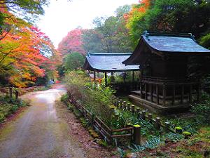 厳島神社と紅葉