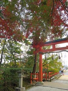 鳥居と紅葉