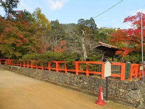 玉垣と紅葉